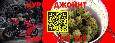 индика Новодвинск