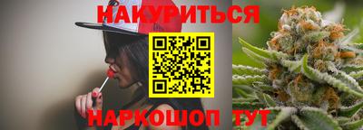 индика Новодвинск