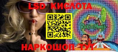 индика Новодвинск