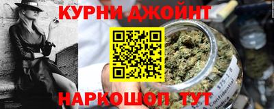 индика Новодвинск