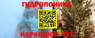 MDMA Новозыбков