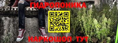 гидра Новокубанск