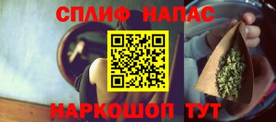 индика Новодвинск