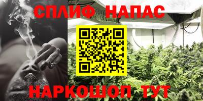 индика Новодвинск