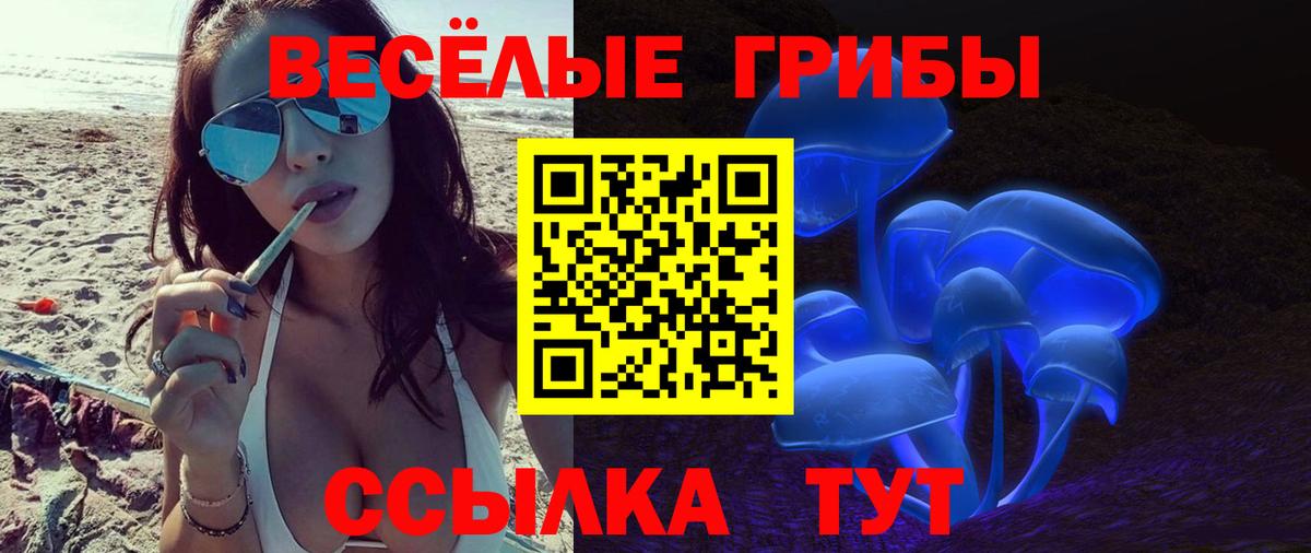 Псилоцибиновые грибы MAGIC MUSHROOMS Партизанск
